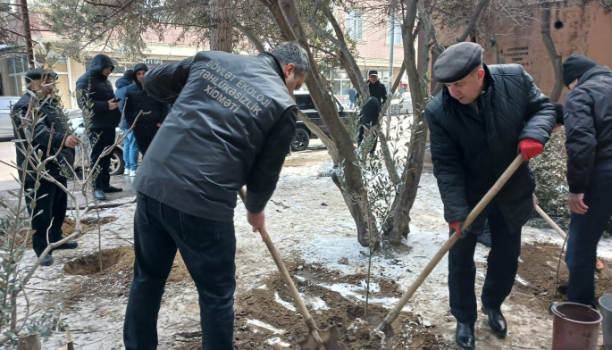 Dövlət Ekoloji Təhlükəsizlik Xidmətinin məlumatı